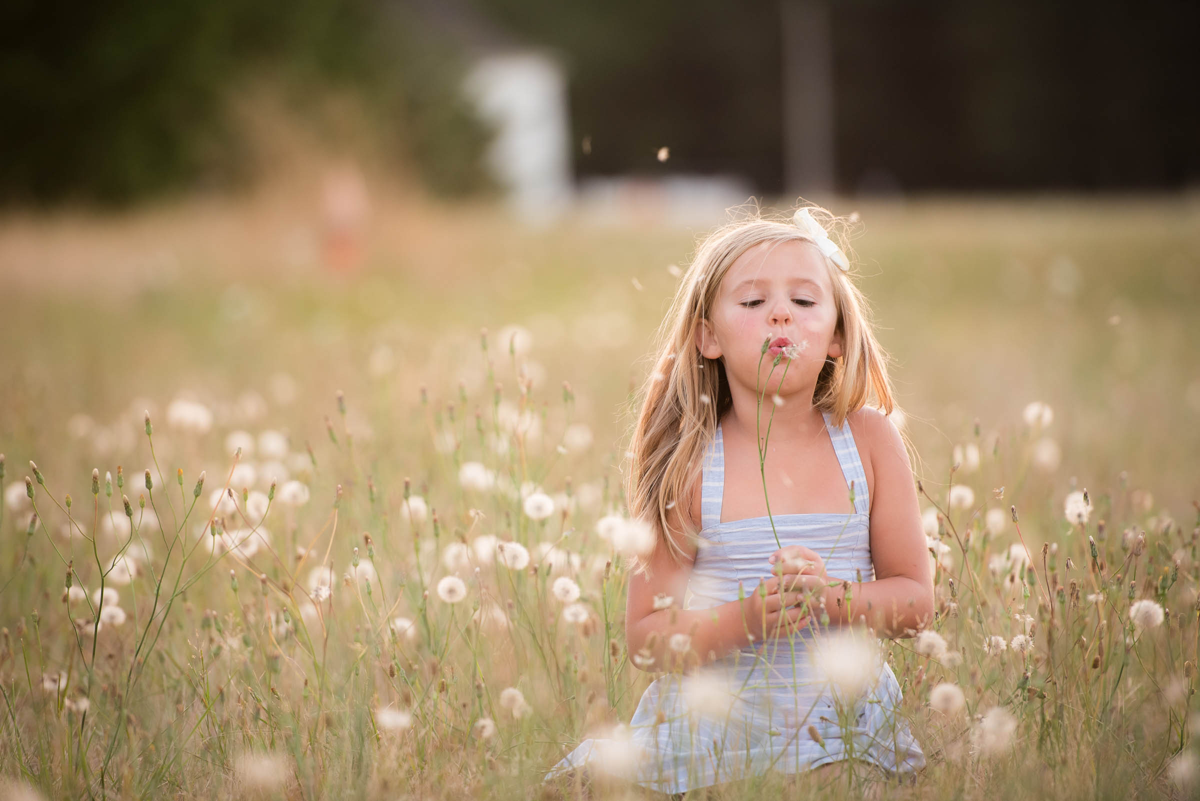 Salem Oregon Family Photographer